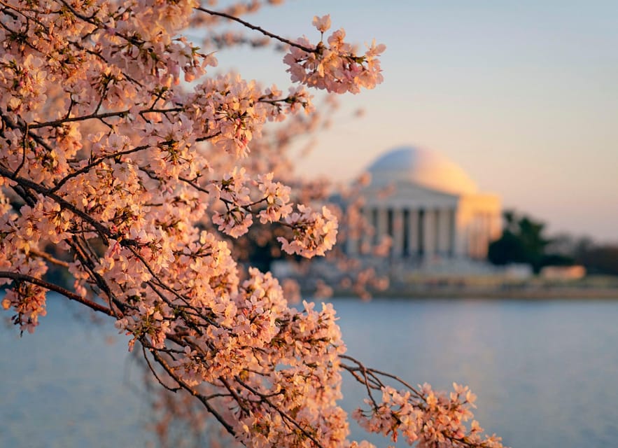 From NYC: Niagara Falls, Washington DC and Boston 4-Day Trip - Day 3: Niagara Falls options—Maid of the Mist and Cave of the Winds in summer, winter alternatives