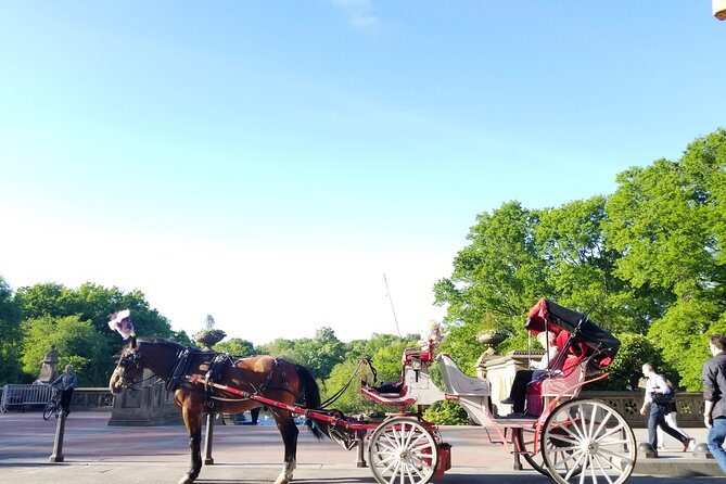 Full loop Private Horse Carriage Ride in Central Park 45 Minutes - Key things I’d note before you book
