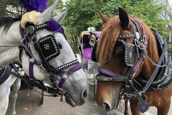 Full loop Private Horse Carriage Ride in Central Park 45 Minutes - Where you meet at Central Park South and how the ride stays simple