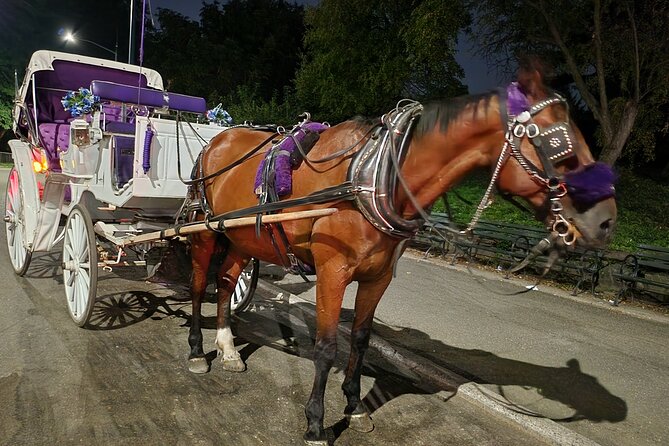 Full loop Private Horse Carriage Ride in Central Park 45 Minutes - The guide experience: English storytelling, clear instructions, and photo pacing