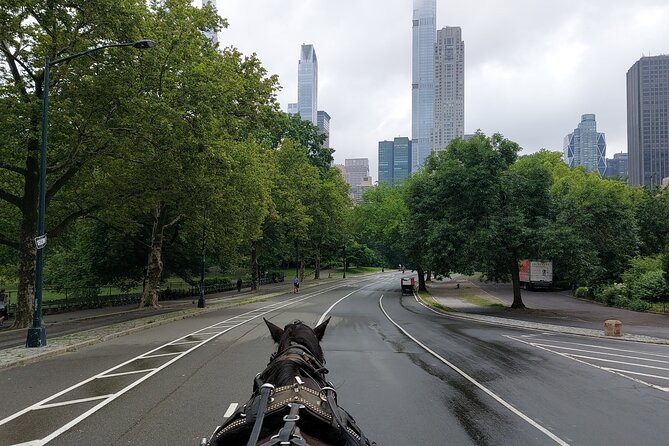 Full loop Private Horse Carriage Ride in Central Park 45 Minutes - Photo-stop strategy: Cherry Hill plus an optional Lake stop