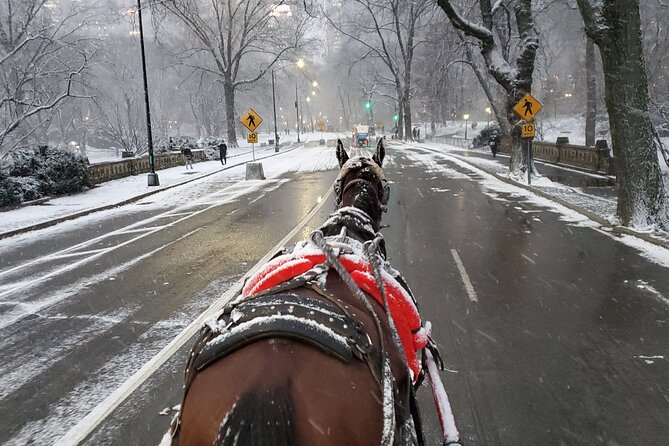 Full loop Private Horse Carriage Ride in Central Park 45 Minutes - Price and value: $195 per group (up to 4) for 40 to 45 minutes