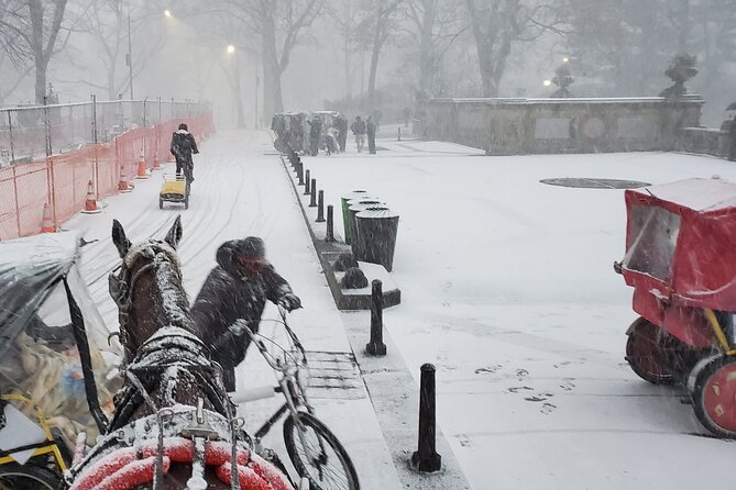 Full loop Private Horse Carriage Ride in Central Park 45 Minutes - Who this Central Park carriage loop is best for