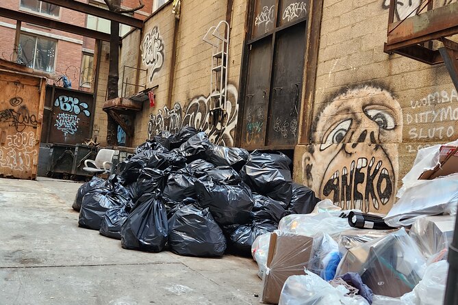 Garbage and Rats in New York City Walking Tour - Why this “trash and rats” tour is better than standard NYC sightseeing