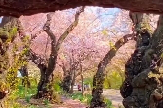Gluten Free Walking Tour of Central Park NYC - Why this gluten-free Central Park walk makes sense