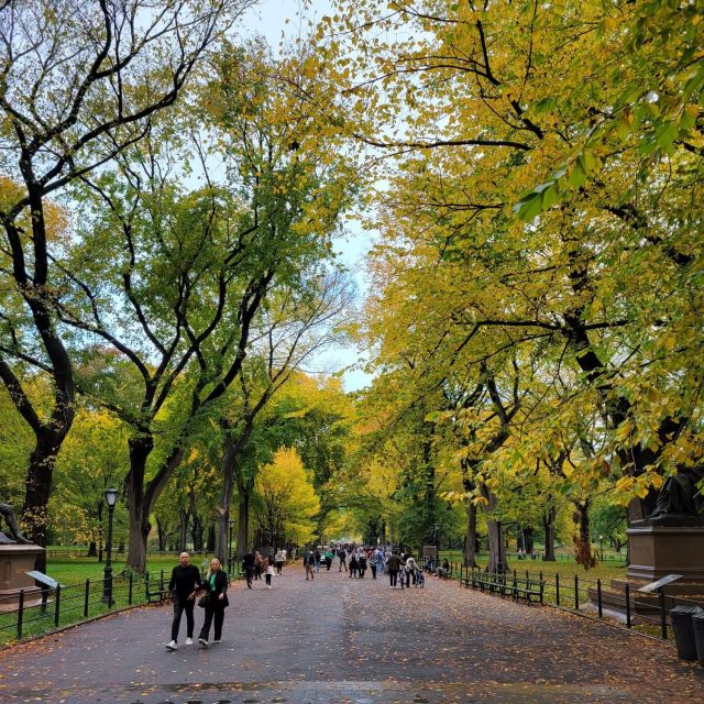Guided Deluxe Pedicab Tour in Central Park - Where Tavern on the Green fits in (and why pass-by stops still help)