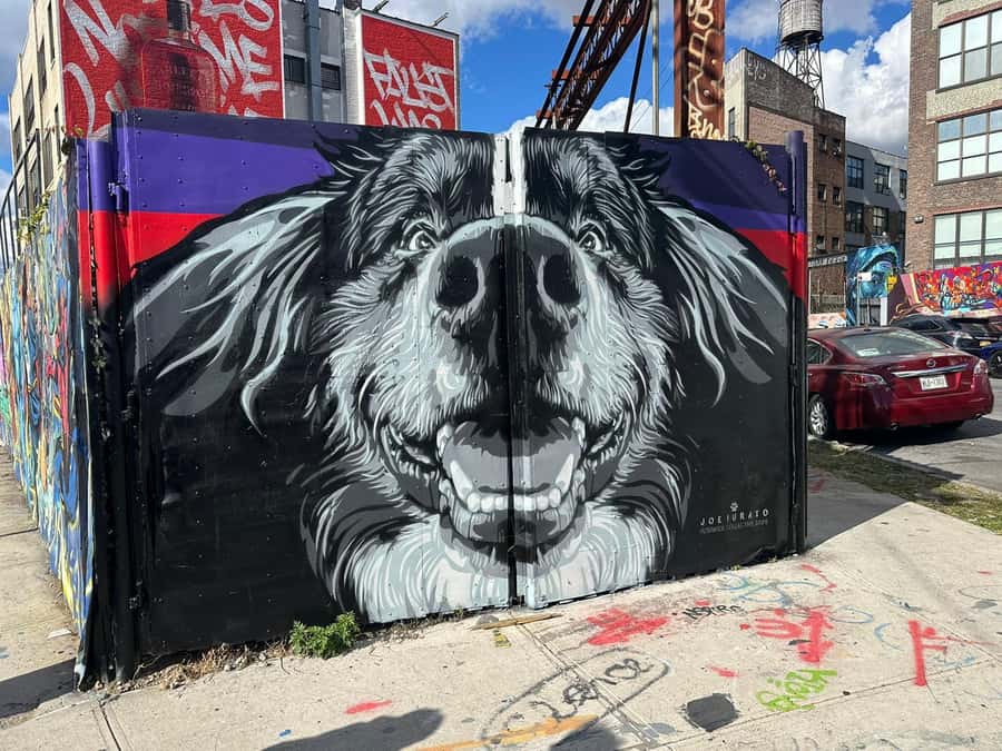 Guided tour in French of Brooklyn Bushwick and Williamsburg - Williamsburg streets: cookies, vintage shops, cafes, and hand-painted ads