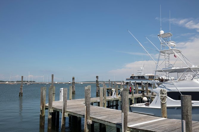 Hamptons, Sag Harbor & Outlet Shopping, 1-Day Tour from NYC - Pacing, privacy, and rest stops: avoiding the rushed feeling