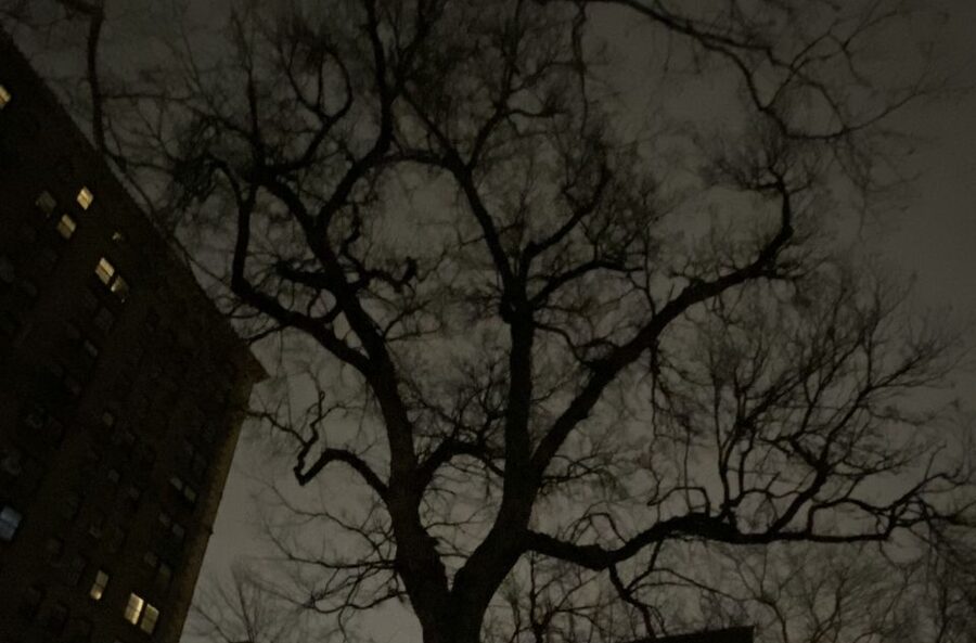 Haunted Village of New York City walking tour - The church graveyard stop tied to Peter Stuyvesant