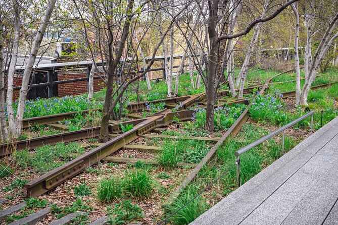 High Line and Chelsea Market 3 Hour Private Tour - Meatpacking District in 15 minutes: industry roots and gentrification pressure