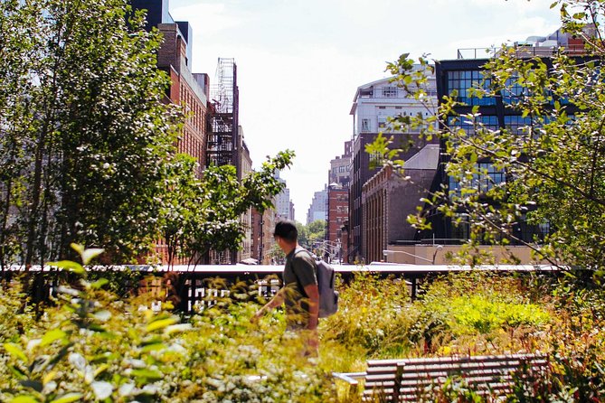 High Line and Chelsea Small Group Tour - Key things to know before you go