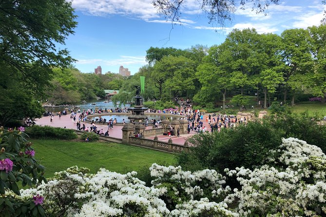 Horse Carriage Ride with Tavern on the Green Pick-Up & Drop-Off - Why a Central Park horse carriage feels like NYC in miniature