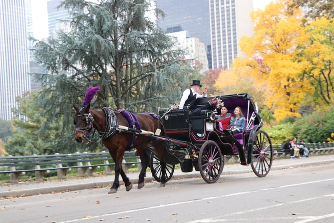 Horse Carriage Ride with Tavern on the Green Pick-Up & Drop-Off - Comfort details: blankets, water, and weather reality