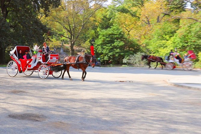Horse Carriage Ride with Tavern on the Green Pick-Up & Drop-Off - Who this Central Park carriage ride suits best