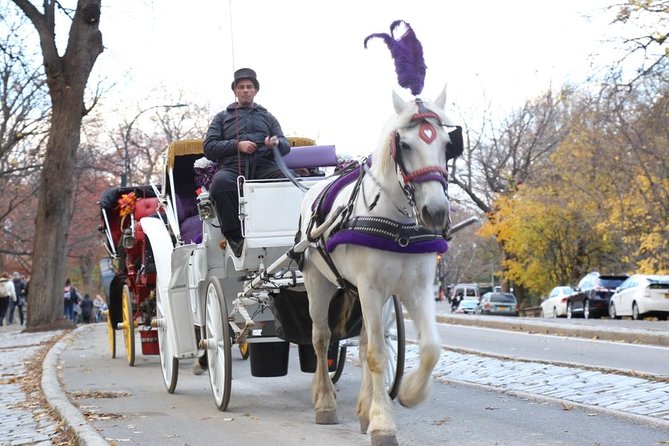 Horse Carriage Tour in New York City's Central Park Small Loop - Where you’ll meet: Central Park South at 6th Ave