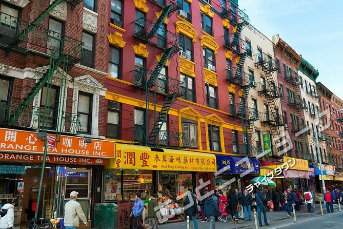 JAPANESE guided tour!! New York city "1-day" sightseeing tour. Times Square, the Statue of Liberty, Wall St, and more. - Greenwich Village art + Washington Square Park and LGBTQ community