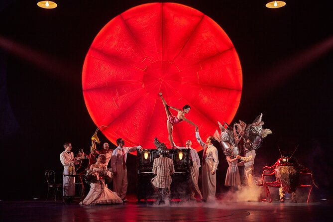 Luzia by Cirque du Soleil: Under the Big Top in New York City - Should you book LUZIA by Cirque du Soleil?