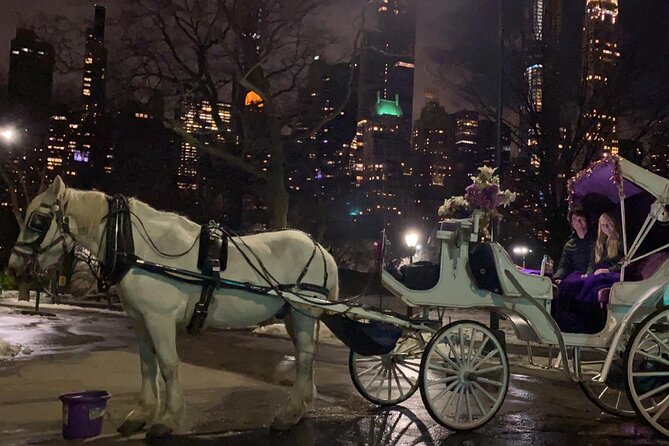 Magical Evening Horse-Drawn Carriage through NYC (65 min) - Central Park South Start Point: Convenient and Simple