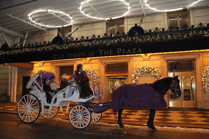 Magical Evening Horse-Drawn Carriage through NYC (65 min) - Warm Blankets and Horse Care: The Details That Make It Feel Real