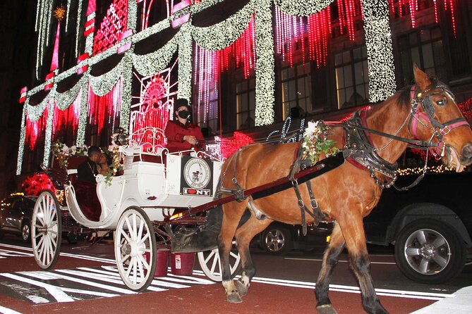 Magical Evening Horse-Drawn Carriage through NYC (65 min) - Price and Value: $260 Per Group for a Private Night Experience