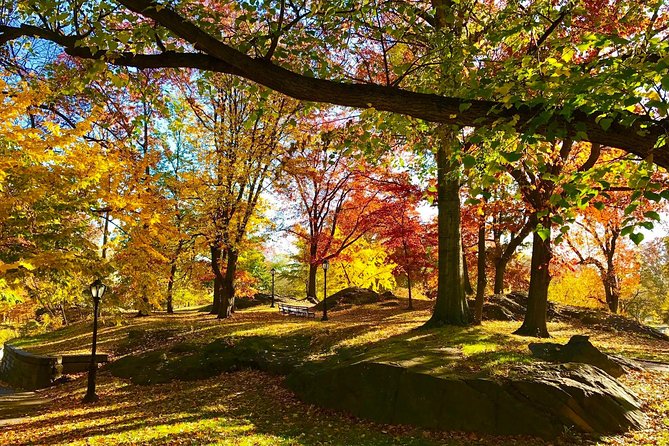 Manhattan Neighborhoods Bike Tour - The mid-tour break: plan for food and refueling