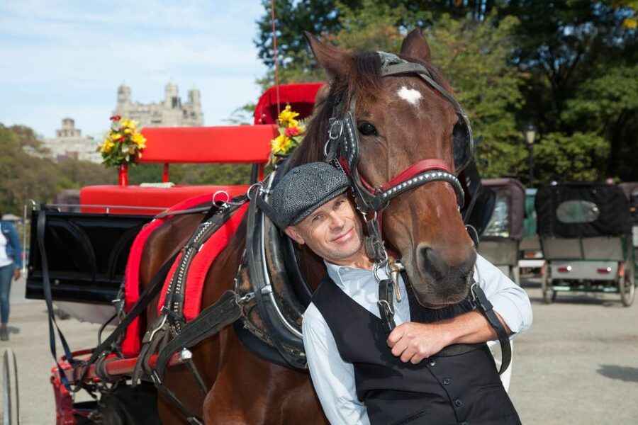Manhattan: VIP Private Horse Carriage Ride in Central Park - Key things I’d plan for