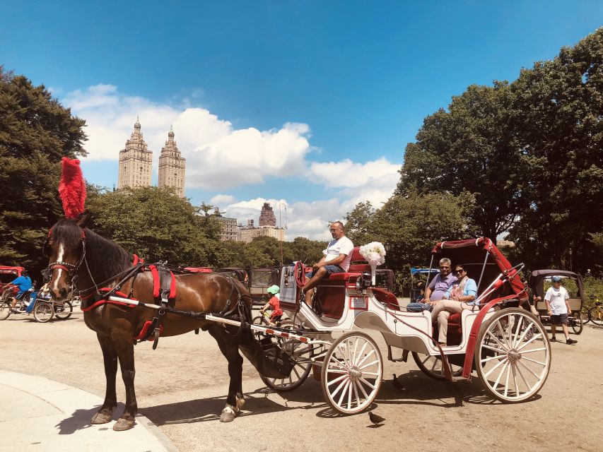 Manhattan: VIP Private Horse Carriage Ride in Central Park - Who this carriage ride is best for