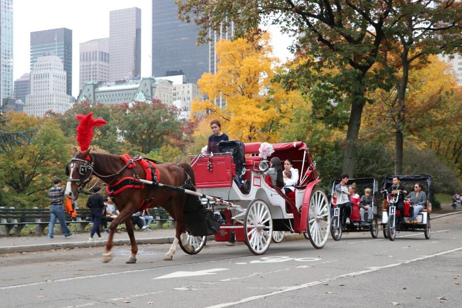 Manhattan: VIP Private Horse Carriage Ride in Central Park - Where the ride starts: José Martí statue area