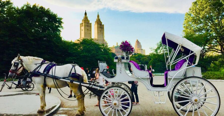 Manhattan: VIP Private Horse Carriage Ride in Central Park - Your 1-hour route through Central Park’s best-known landmarks
