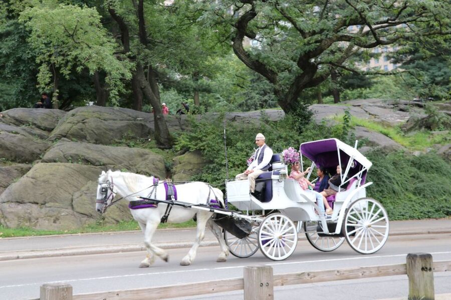Manhattan: VIP Private Horse Carriage Ride in Central Park - Skip the ticket line: small time win, big day-feel difference