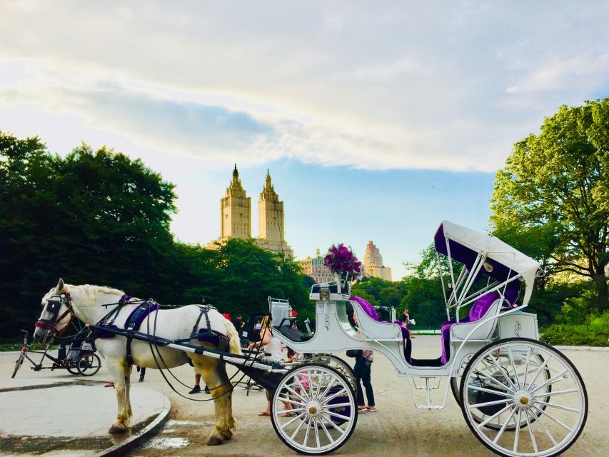 Manhattan: VIP Private Horse Carriage Ride in Central Park - How a private carriage works for up to 4 adults (and kids)