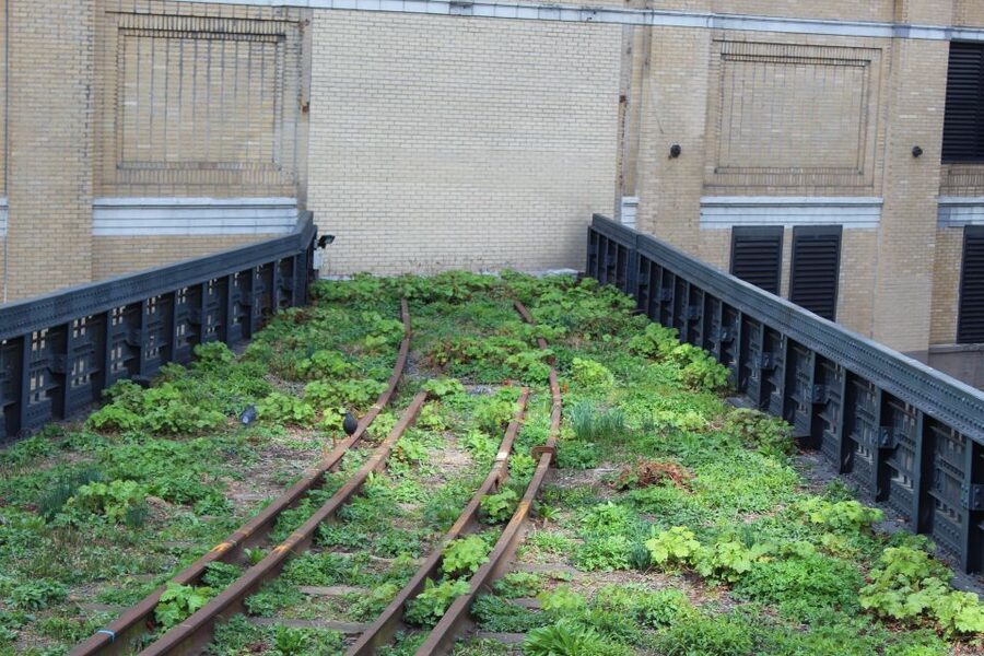 Meatpacking District: Chelsea Market and The Highline Tour - Should you book the Meatpacking District and High Line tour?