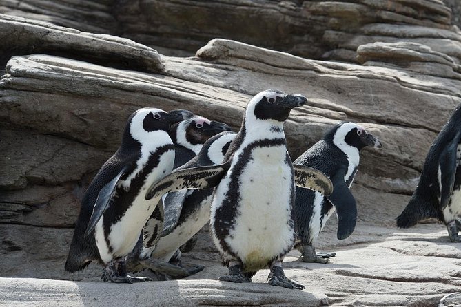 New York Aquarium Admission - New York Aquarium Admission: the value of walking in when you want