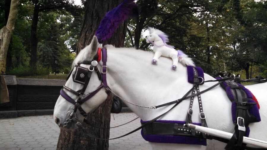 New York: Carriage Ride in Central Park - Tavern on the Green, Summer Stage, and Loeb Boathouse Views