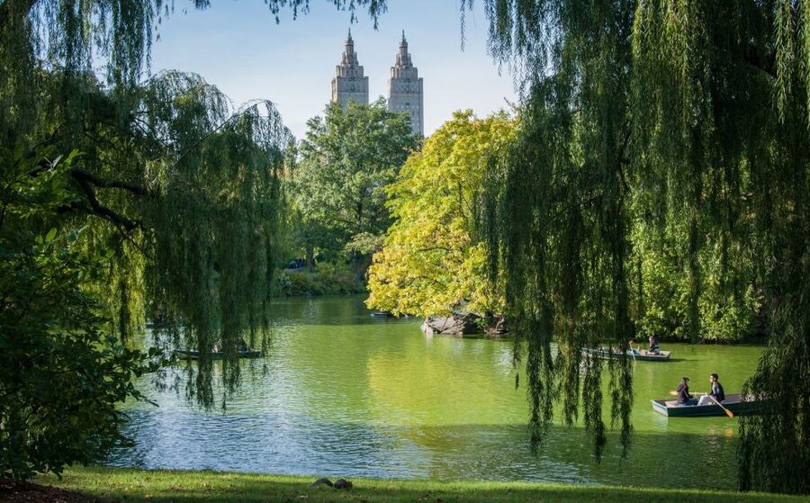 New York: Carriage Ride in Central Park - Driver-Guides in Practice: What Makes a Good Ride