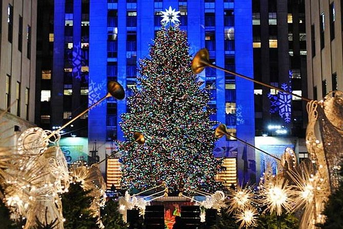 New York Christmas Holiday Small-Group Walking Tour - Key highlights to look for