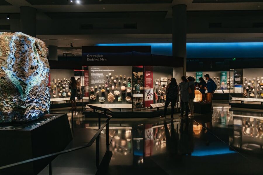 New York City: American Museum of Natural History Ticket - The Richard Gilder Center: modern science for hands-on curiosity