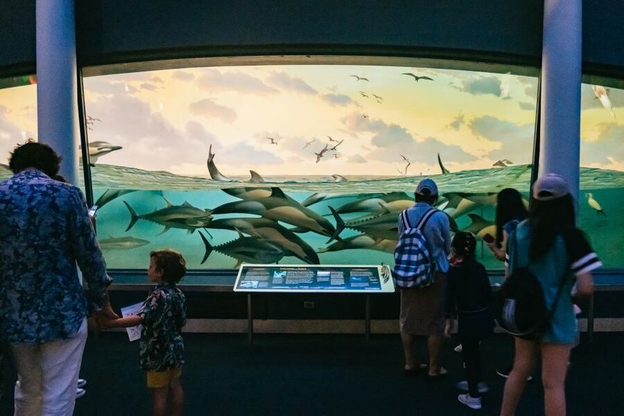 New York City: American Museum of Natural History Ticket - Optional ticketed exhibitions: choosing the right add-ons