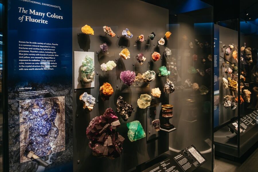 New York City: American Museum of Natural History Ticket - Using the Explorer app and Wi‑Fi: save your legs