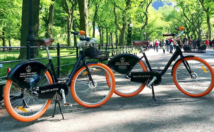 New York City: Best of Central Park Bike Tour - Comfort bikes, helmets, and easy riding for all skill levels
