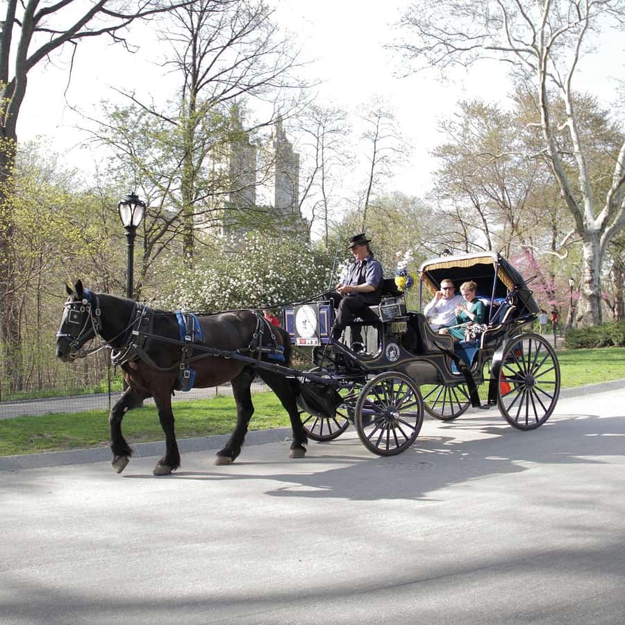 New York City: Central Park Horse Carriage 25-min Ride - Key Highlights at a Glance