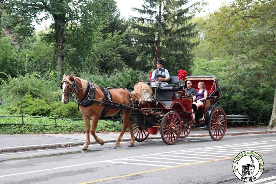 New York City: Central Park Horse Carriage 25-min Ride - Wollman Rink, Carousel, and Chess & Checker House on the Way In