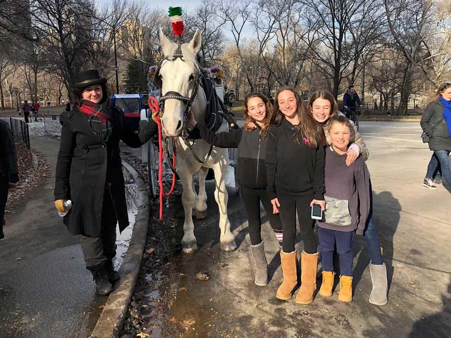 New York City: Central Park Horse Carriage 25-min Ride - The Dairy Photo Stop: Victorian Cottage Time