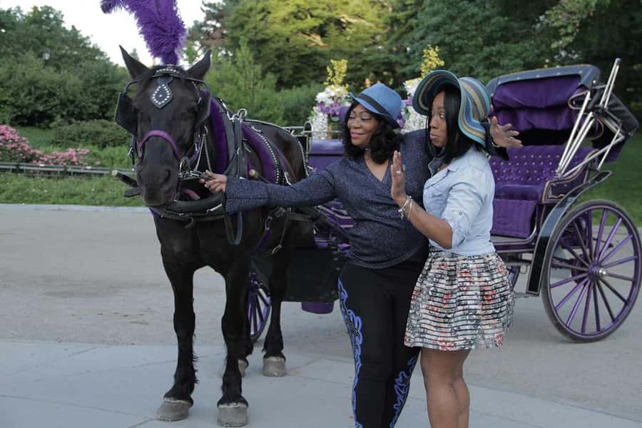 New York City: Central Park Horse Carriage 25-min Ride - The Pond Calm and Plaza Hotel Big-City Contrast