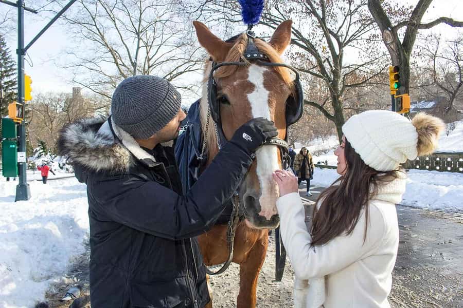New York City: Central Park Horse Carriage 25-min Ride - Price and Value: Is $75 Per Group Worth It?