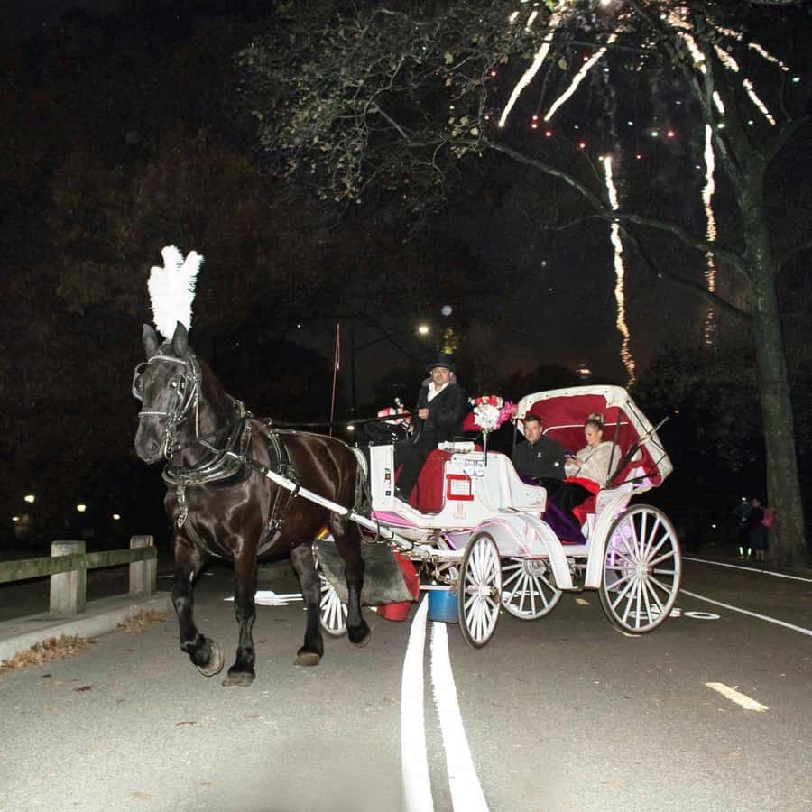 New York City: Central Park Horse Carriage 25-min Ride - What to Expect From the Driver and the Carriage Experience