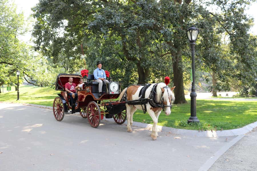 New York City: Central Park Horse Carriage 25-min Ride - Finding the Carriage at West Drive and Getting Set