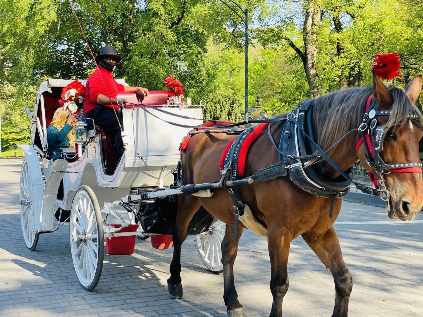 New York City: Central Park Private Horse and Carriage Tour - Key Highlights You’ll Actually Care About