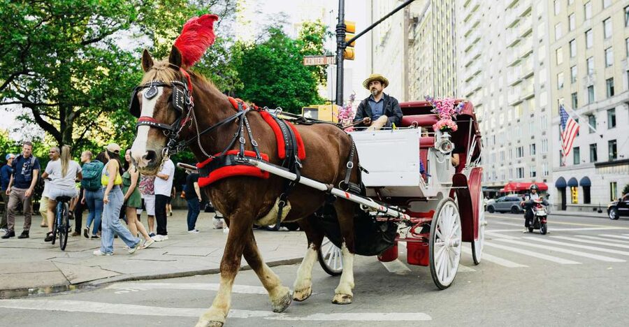 New York City: Central Park Private Horse and Carriage Tour - Meeting at José Julián Martí Statue: The Easiest Part