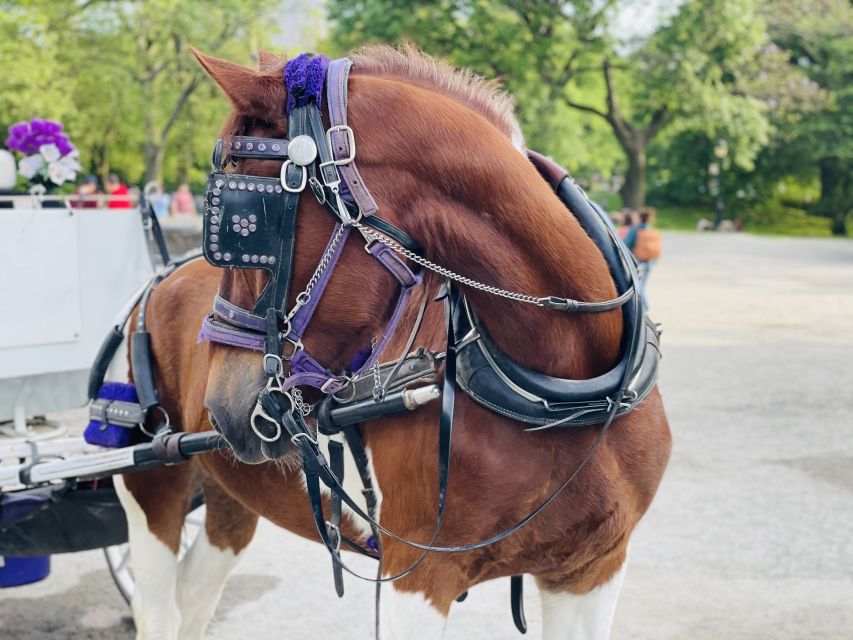 New York City: Central Park Private Horse and Carriage Tour - Stop-by-Stop: From Carriage Attractions to Famous Park Landmarks